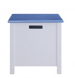 21' X 32' X 21' White Blue Wood Youth Chest