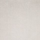 2' x 4' Polyester Ivory Area Rug