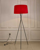 20 X 20 X 69 Red Metal Floor Lamp