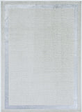 5'x8' Ivory Silver Machine Woven Bordered Indoor Area Rug