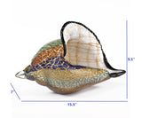 HomeRoots 9 Multicolor Large Conch Shell Art Glass 376117-HOMEROOTS 376117