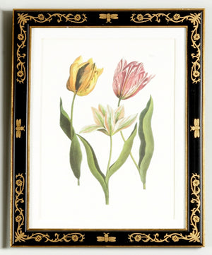 Tulip/Dec.frame(991)