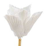 Tulip Stem (Lg)