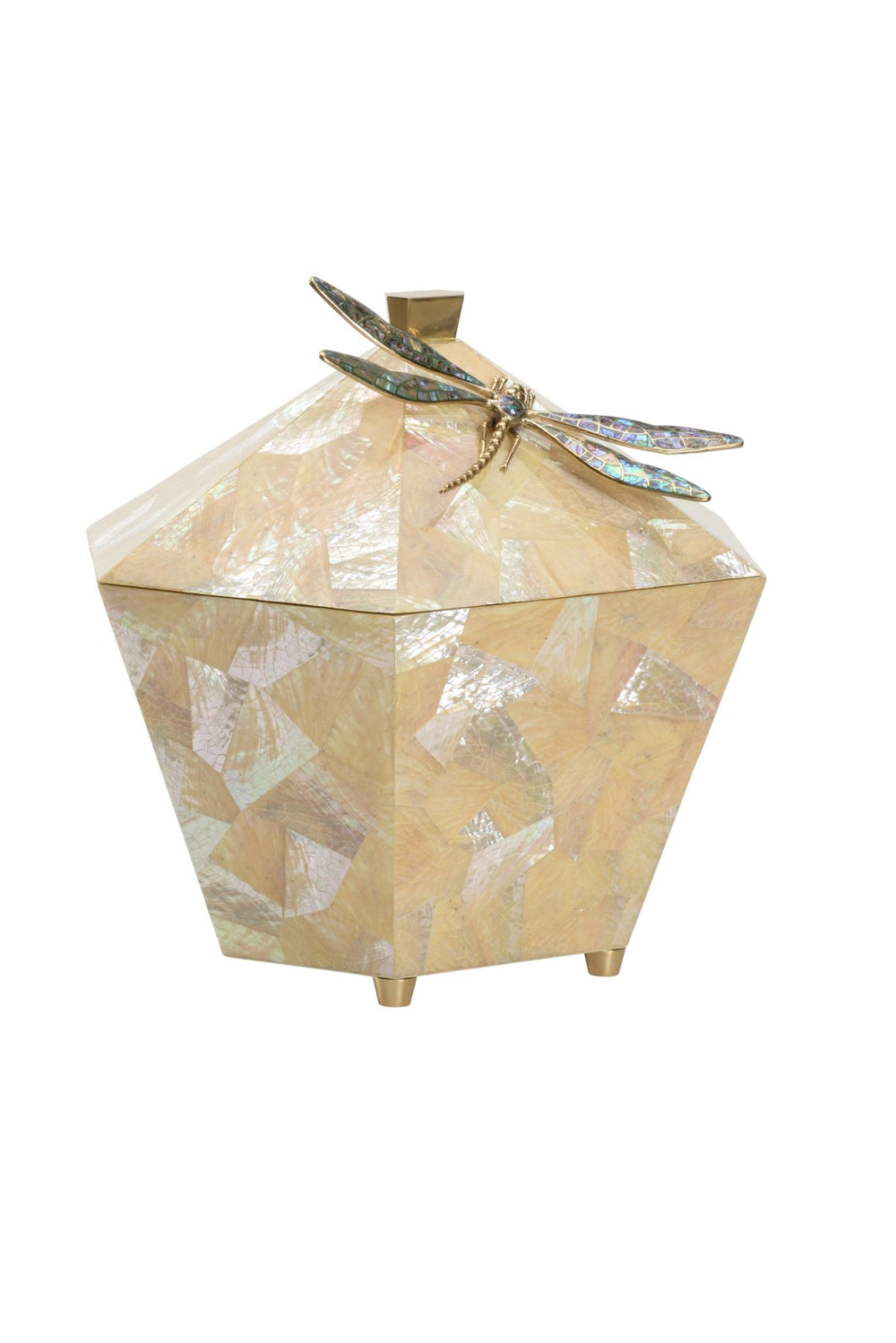 Iridescent Hexagonal Box with Exquisite Abalone Dragonfly Accent - Handcrafted Shell Artistry