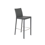 Hasina Bar Stool in Gray with Polished Stainless Steel Legs  - Set of 2