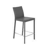 Hasina Counter Stool in Gray with Polished Stainless Steel Legs - Set of 2