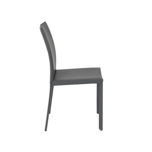 Hasina Side Chair in Gray - Set of 2