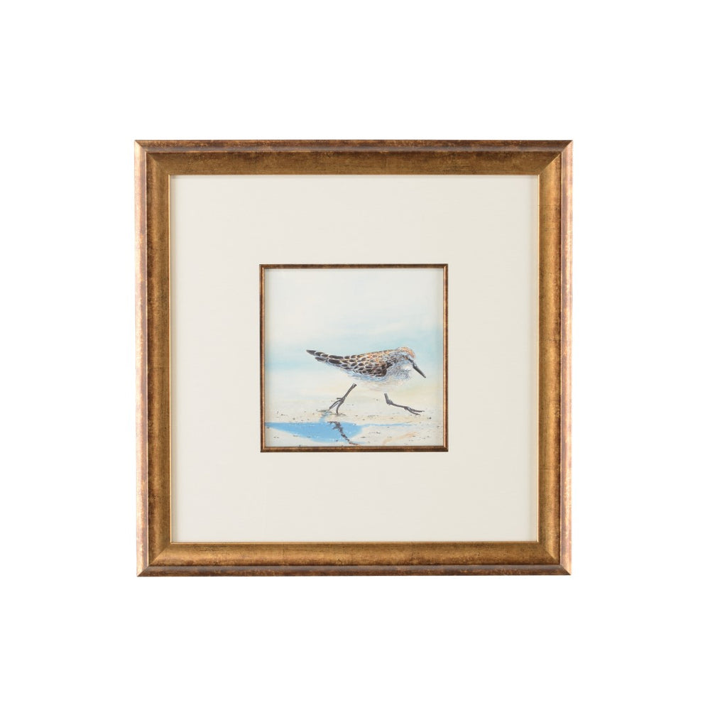 Sand Piper IV Watercolor Artwork in Antique Gold Frame with Elegant White Mat - Lisa Kahn Collection