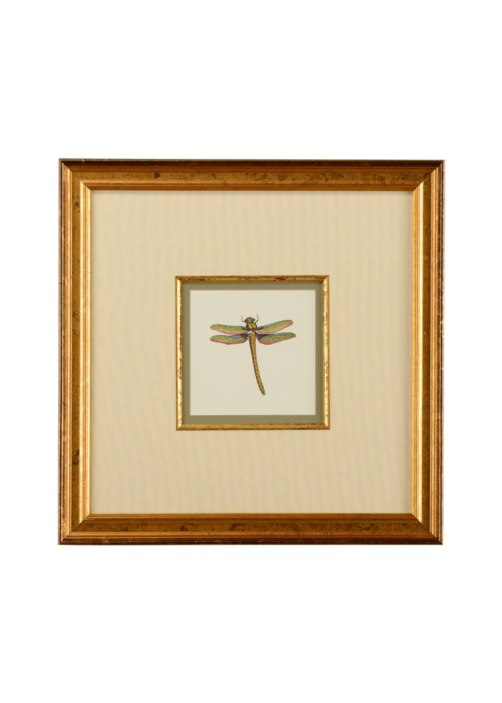 Miniature Dragonfly I