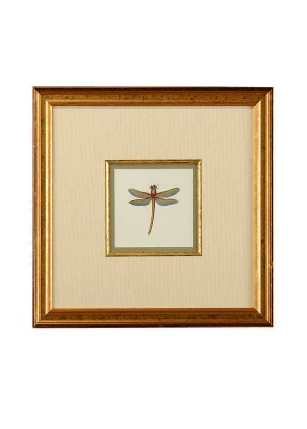 Miniature Dragonfly II