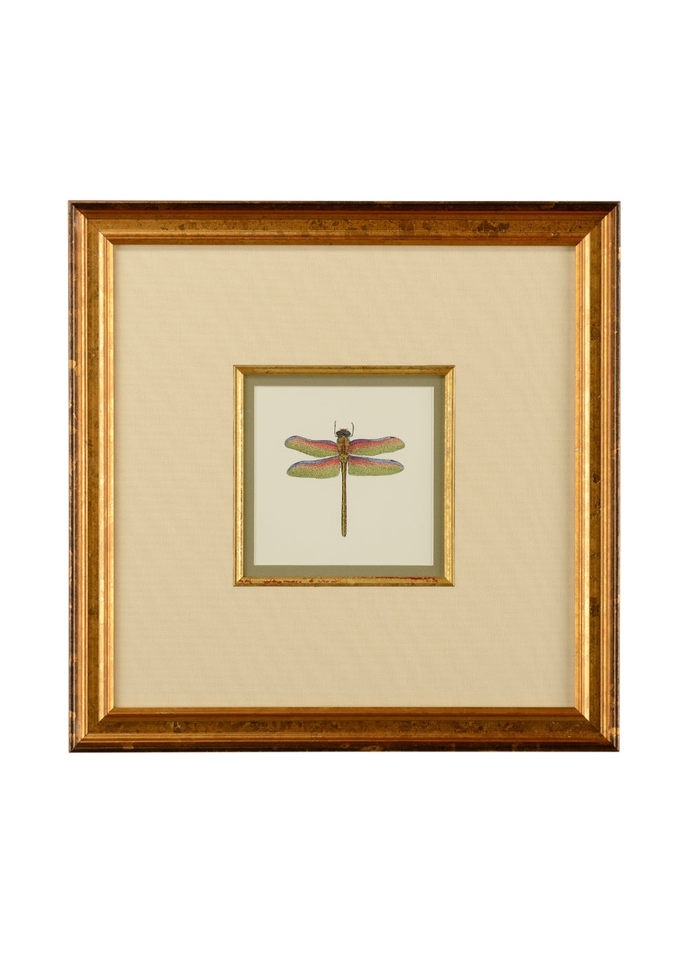 Miniature Dragonfly III