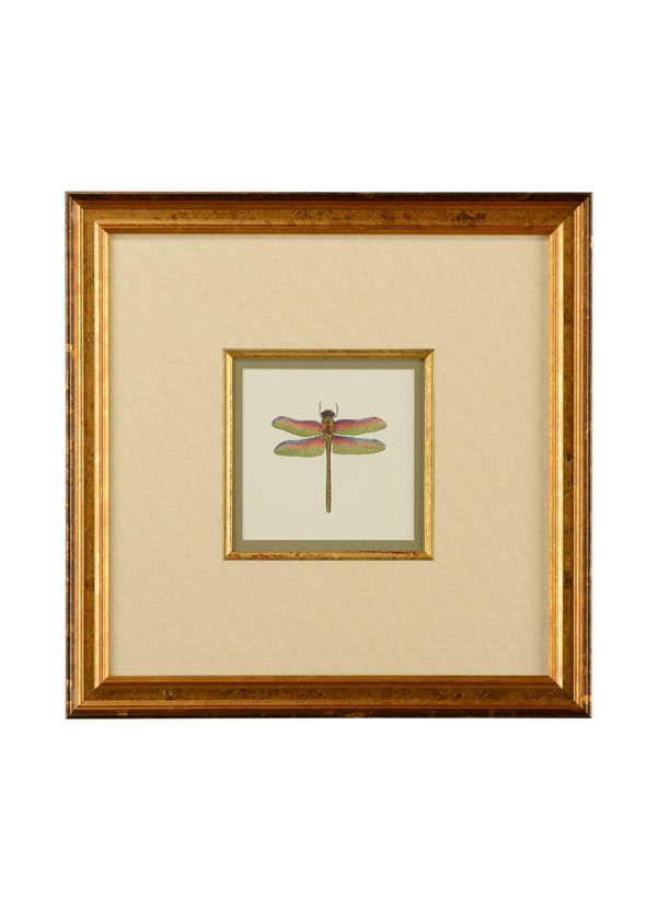 Miniature Dragonfly III