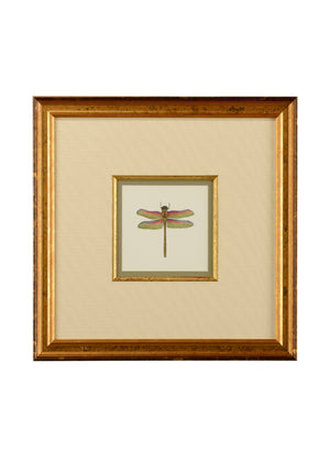 Miniature Dragonfly III