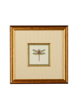 Miniature Dragonfly IV