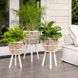 Sagebrook Home Contemporary Set of 3 -  Bamboo Planters 11/13/15", White 13574-11 White Bamboo Wood