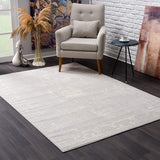 2’ x 3’ Modern Gray Distressed Scatter Rug