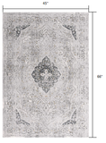 4’ x 6’ Gray Distressed Decorative Area Rug