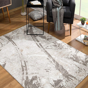 4’ x 6’ Gray and Ivory Abstract Organic Area Rug