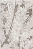 4’ x 6’ Gray and Ivory Abstract Organic Area Rug