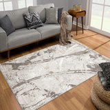 4’ x 6’ Gray and Ivory Abstract Organic Area Rug