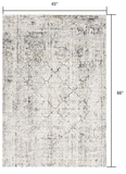 4’ x 6’ Gray and Ivory Abstract Distressed Area Rug