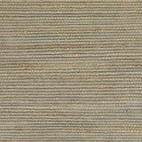 Tan and Blue Undertone Striated Area Rug