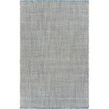 Blue and Beige Toned Area Rug