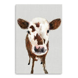 Brown and White Baby Cow Face Canvas Wall Art