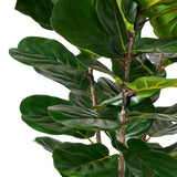 Socorro 6' x 2' Artificial Fiddle-Leaf Fig Tree, Green Noble House