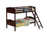 Littleton Modern Bunk Bed with Ladder
