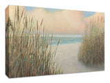 Natural Beach Trail Giclee Print on Gallery Wrap Canvas Wall Art