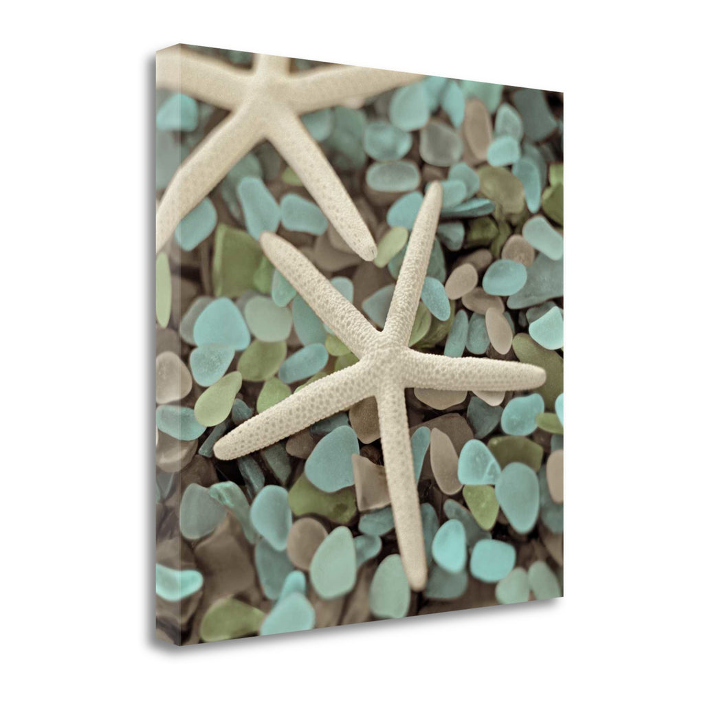 25" Starfish and Seaglass Giclee Wrap Canvas Wall Art