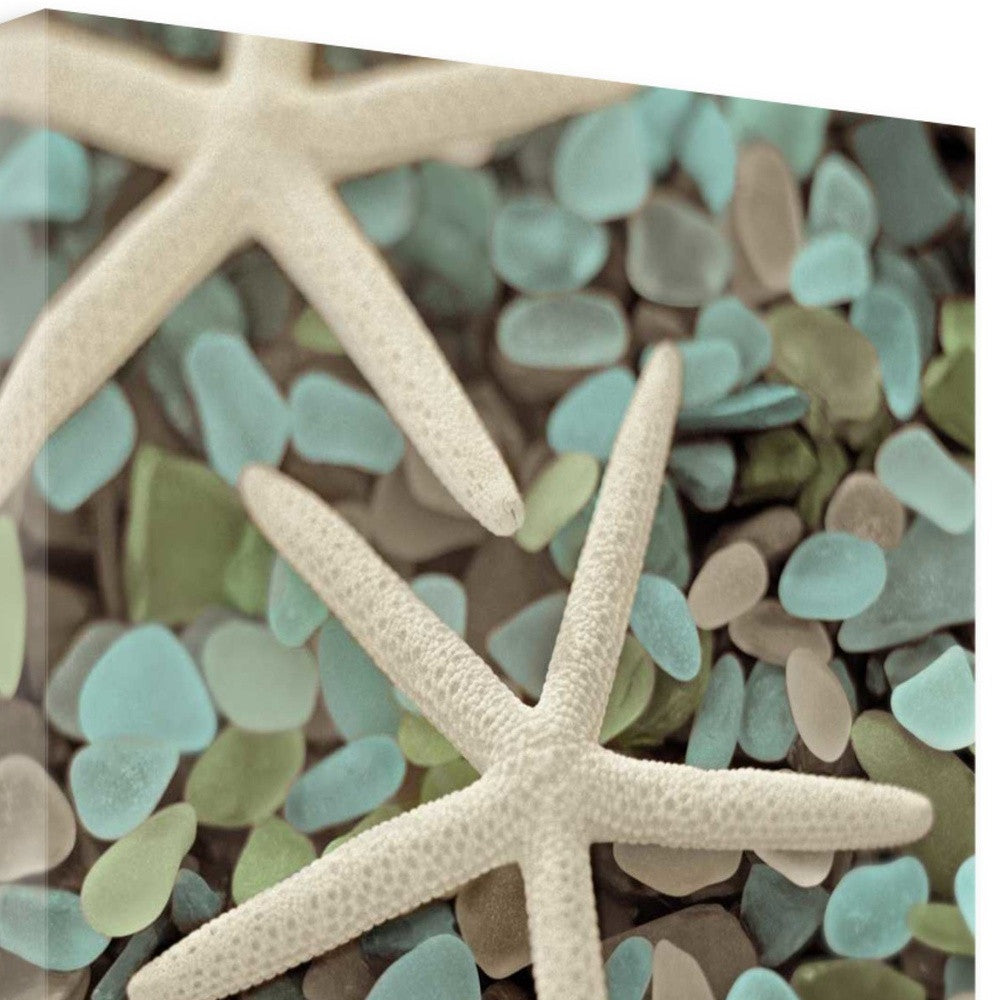 25" Starfish and Seaglass Giclee Wrap Canvas Wall Art
