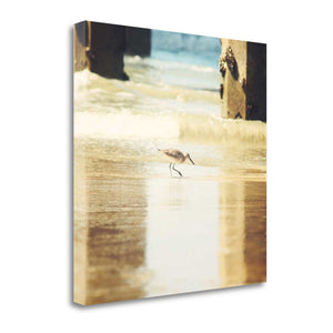 25" Willet Walking Towards the Beach Giclee Wrap Canvas Wall Art