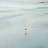 23" Coastal Two Seagulls on the Beach Giclee Wrap Canvas Wall Art