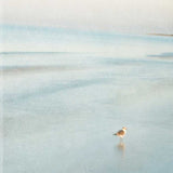 29" Coastal Two Seagulls on the Beach Giclee Wrap Canvas Wall Art