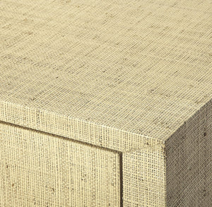 Butler Specialty Amelle Cream Raffia 4 Drawer Accent Chest 4483349