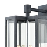 Bianca 25'' High 4-Light Outdoor Sconce - Aged Zinc