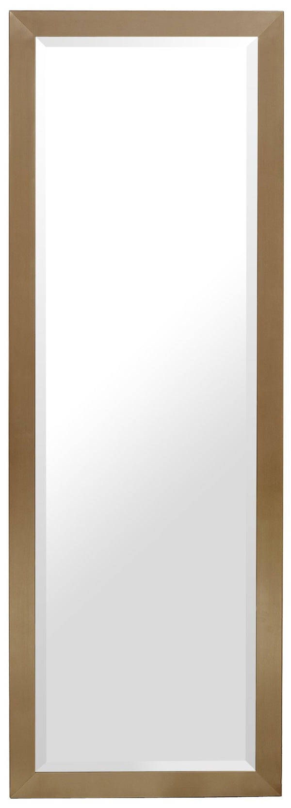 Hepburn Glass / Metal Contemporary Gold Mirror - 25" W x 1" D x 72" H