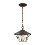 Gavin 10'' Wide 1-Light Outdoor Pendant - Hazelnut Bronze