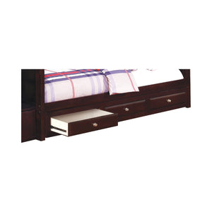 Elliott Contemporary 3-drawer Under Bed Storage Cappuccino