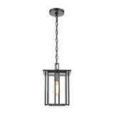 Radnor 8'' Wide 1-Light Outdoor Pendant - Matte Black