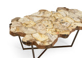 Fossil Cocktail Table