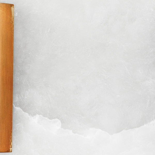 Jamie Young Co. Delphi Wall Sconce 4DELP-SCAB