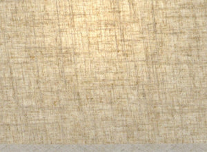 Zeugma RT-GRY Rectangular Shade