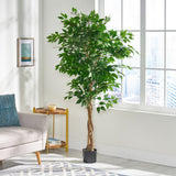 Harney 6' x 2.5' Artificial Ficus Tree, Green Noble House