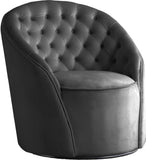 Alessio Velvet / Engineered Wood / Foam Contemporary Grey Velvet Accent Chair - 30" W x 28.5" D x 32" H