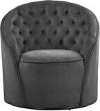 Alessio Velvet / Engineered Wood / Foam Contemporary Grey Velvet Accent Chair - 30" W x 28.5" D x 32" H