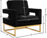 Noah Velvet / Engineered Wood / Stainless Steel / Foam Contemporary Black Velvet Accent Chair - 33" W x 29" D x 35" H