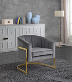 Carter Velvet / Engineered Wood / Stainless Steel / Foam Contemporary Grey Velvet Accent Chair - 30" W x 29" D x 30" H